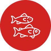 AMBALAJE ALIMENTARE / Ambalaje pentru PESCARII